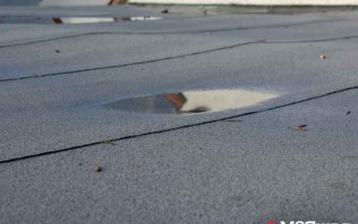 3 Signs a Commercial Roof’s Performance Is Compromised