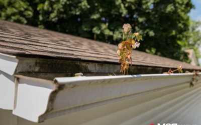 How to Prevent Gutter Damage